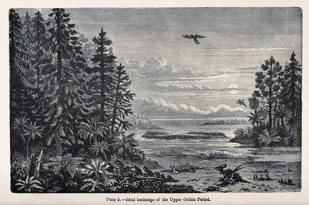 An ideal landscape of the upper oolitic period with reptiles and birds. Wood engraving by F. Trichon after A. Faguet.