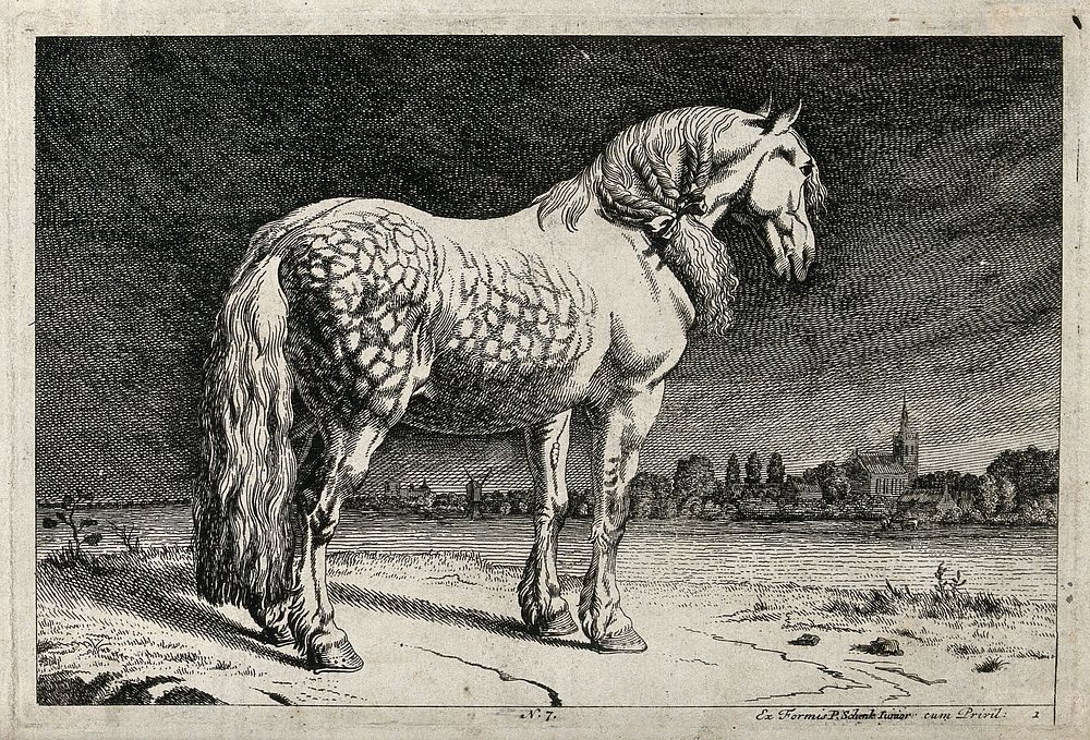 A white horse with its mane plaited into three interlaced strands is standing at the shore of a river. Etching.