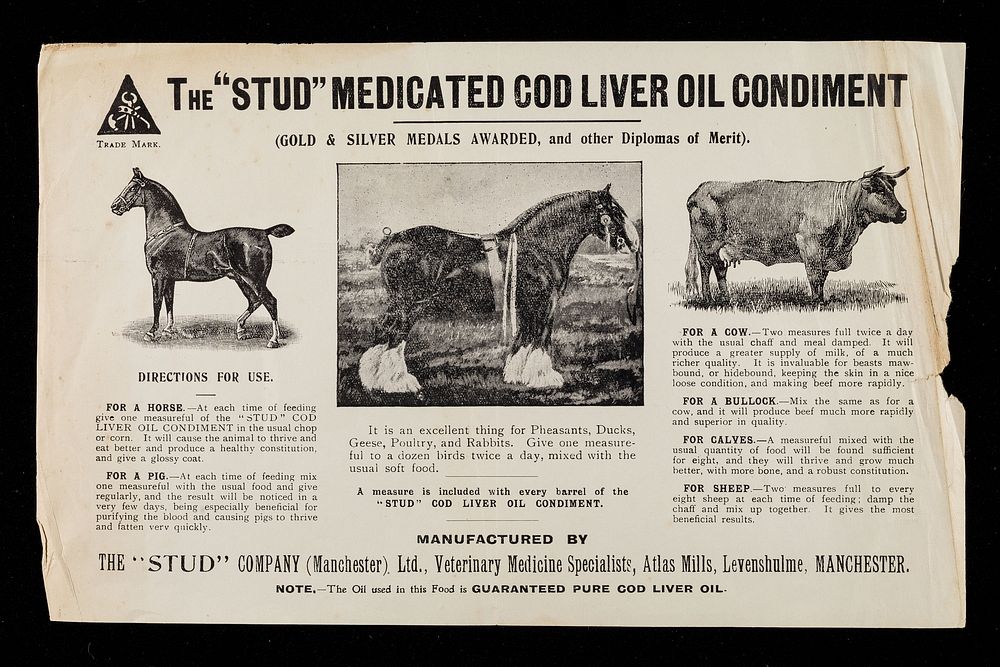 The "Stud" medicated cod liver oil liver condiment ... / manufactured by the "Stud" Company (Manchester) Ltd.