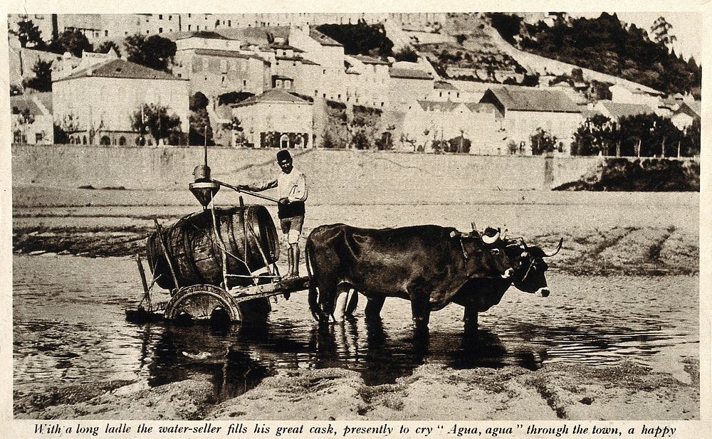 A water-seller standing on a cart in a river and filling his casket. Reproduction of a photograph.
