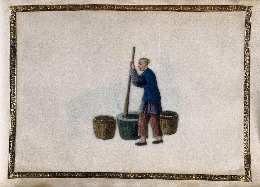 A man pounding tea leaves with a large pestle and mortar. Painting by a Chinese artist, ca. 1850.
