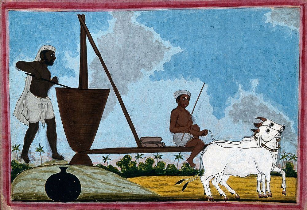 Two men perhaps milling foodstuffs in a vat with a millwheel driven by two oxen. Gouache drawing, 18--.