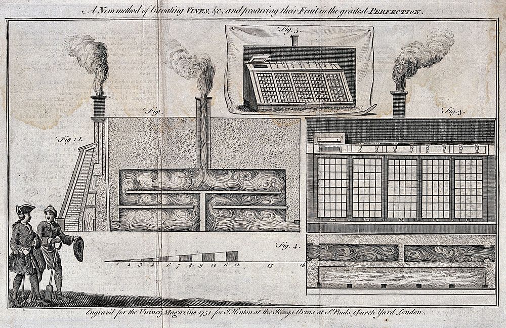 Types of greenhouse. Engraving, 1751.