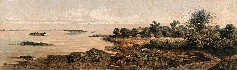 Bengal: the jheels (shallow expansive lake) at high water. Lithograph.