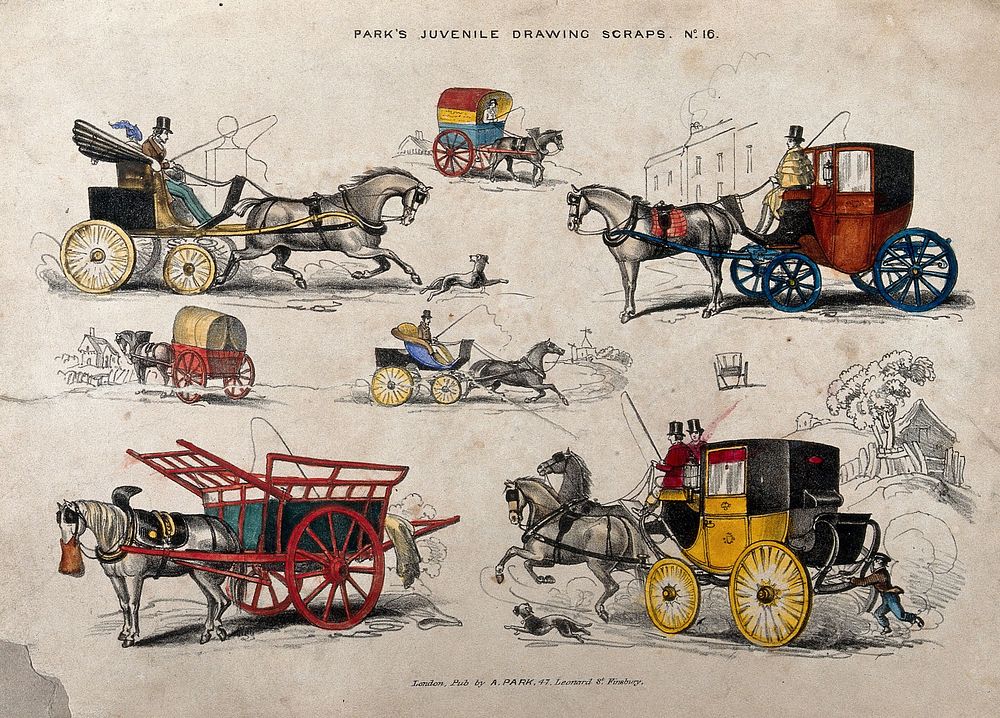 Seven different horse-drawn carts, coaches and carriages. Coloured lithograph.