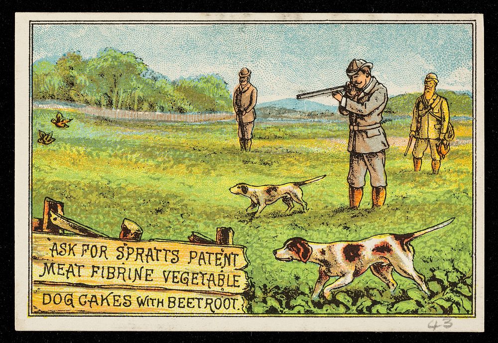 Ask for Spratt's Patent meat fibrine vegetable dog cakes with beetroot.