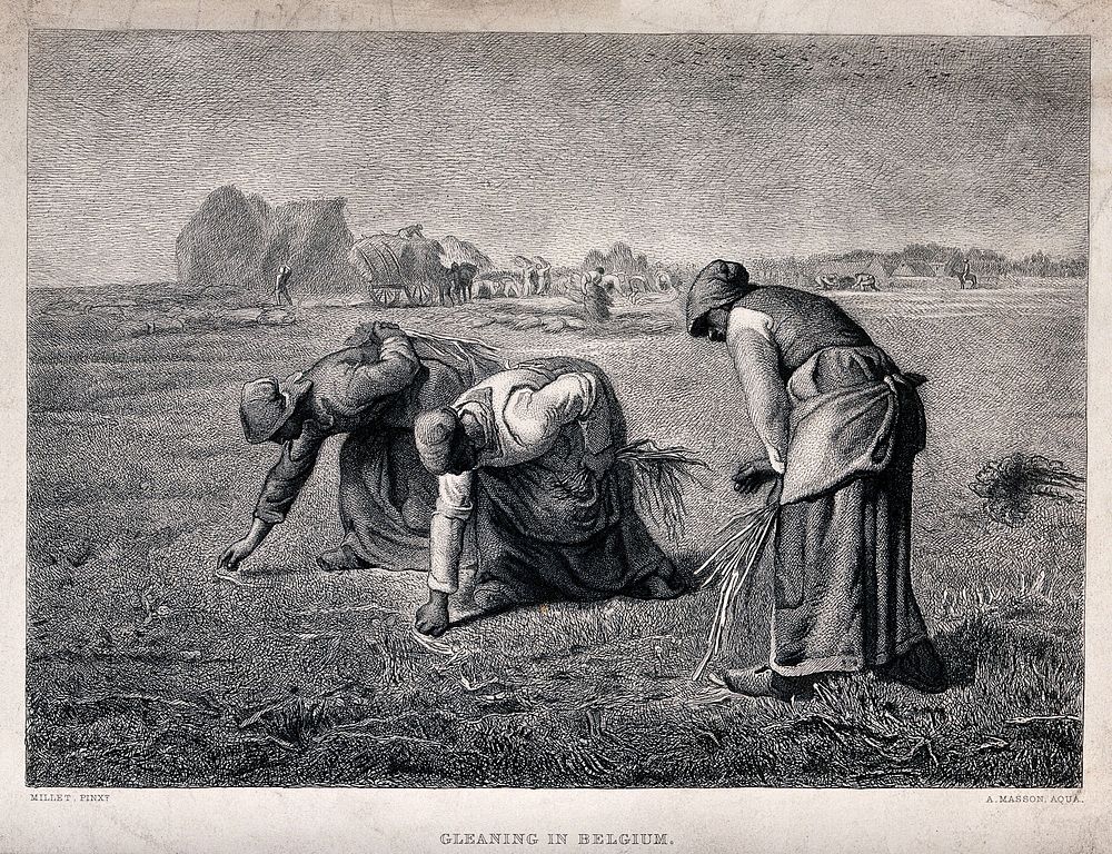Three women are picking up the small pieces of corn left in the fields after harvesting. Etching by A. Masson after J.F.…