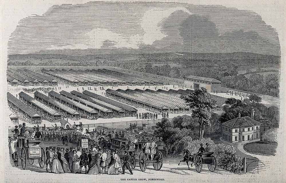 The cattle show at Portswood, near Southampton, as seen from a hill above the showground. Wood engraving by Smyth, 1844.