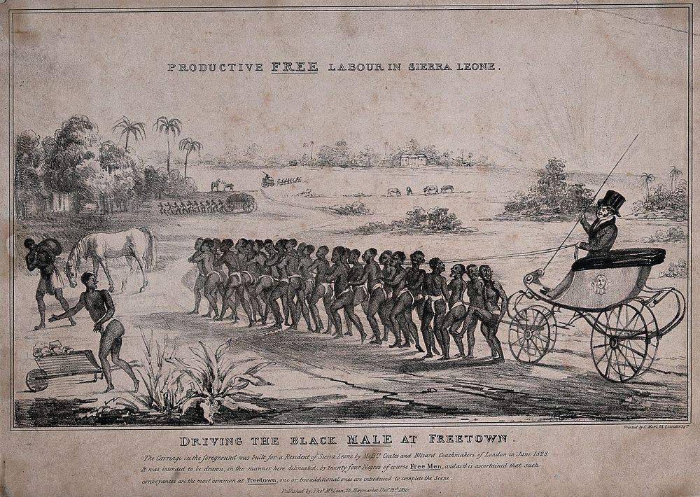 Freetown, Sierra Leone: African men wearing loincloths are pulling the carriage of a European man holding a rod. Lithograph…