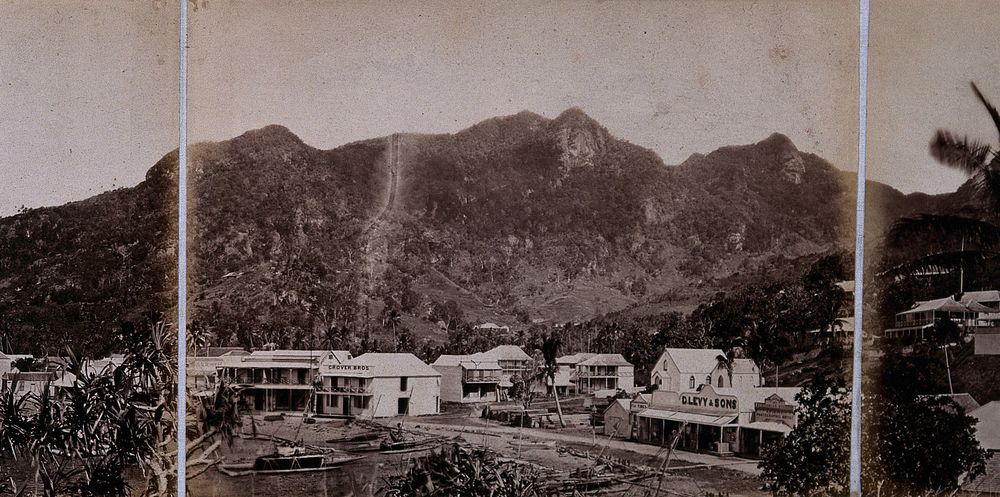 Levuka, Fiji: panoramic view: section two. Photograph, ca. 1880.