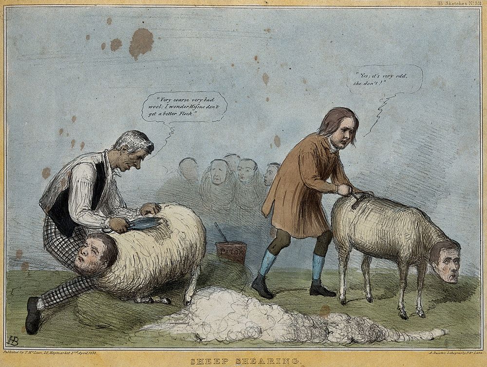 Lord Brougham shears a mock sheep with the head of Lord Melbourne, and Sir William Molesworth combs Lord Glenelg. Coloured…