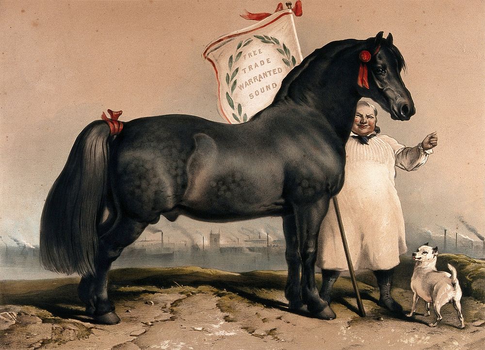 A healthy horse, representing the healthy effects of free trade. Coloured lithograph by J. West Giles after Sir E. Landseer.