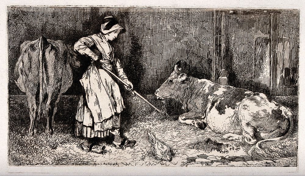 A girl wearing clogs turns the hay for cows in their shed. Etching by Jules Laurens.
