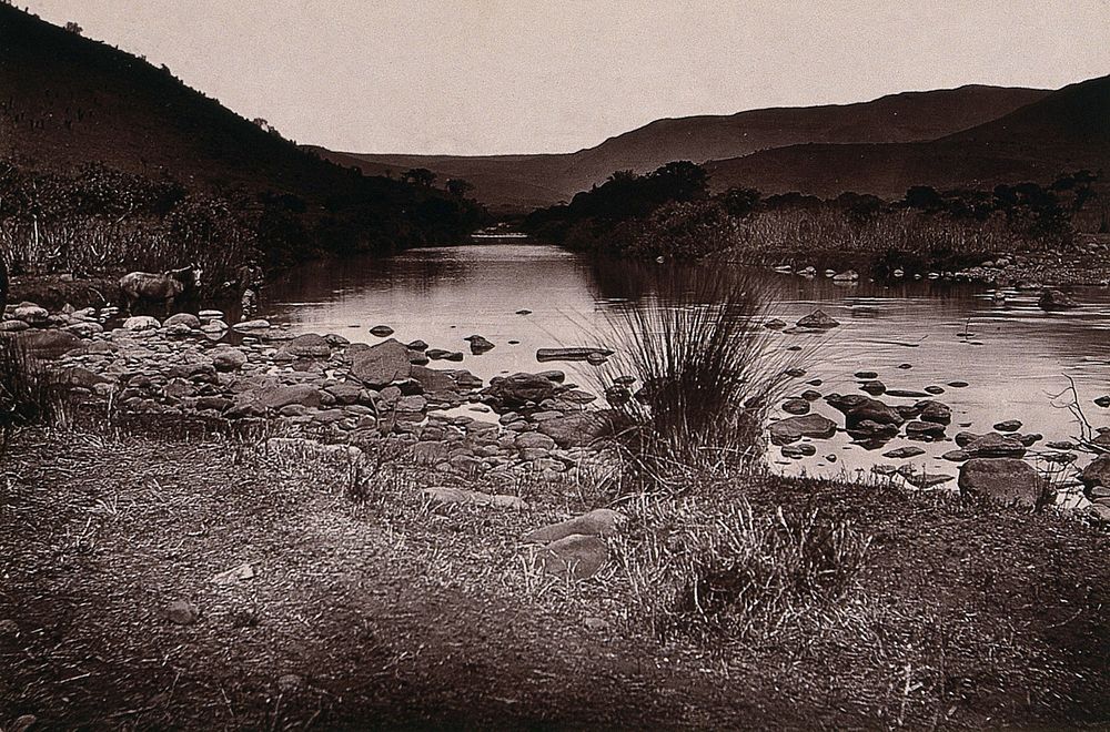 Elands Spruit, South Africa: a river crossing on the road to Barberton. Woodburytype, 1888, after a photograph by Robert…