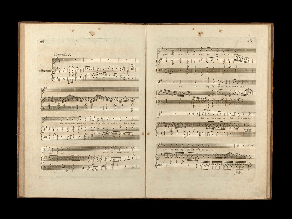 Dr. Haydn's VI original canzonettas : for the voice with accompaniment for the pianoforte dedicated to Mrs John Hunter.