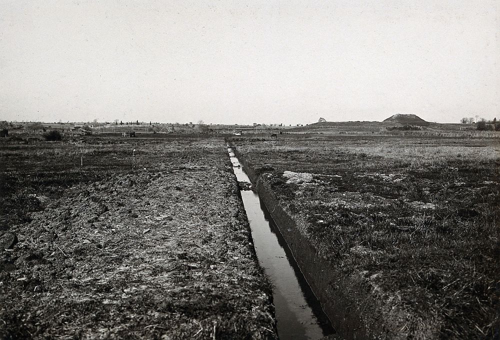 Nettuno, Italy: a long, narrow drain (to aid mosquito control) in a field. Photograph, 1918/1937 .