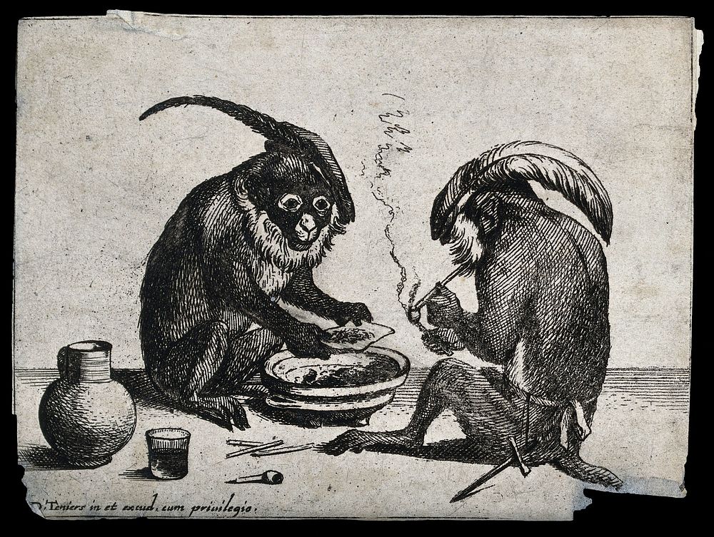 Two monkeys in feathered caps smoking tobacco. Engraving after D. Teniers.