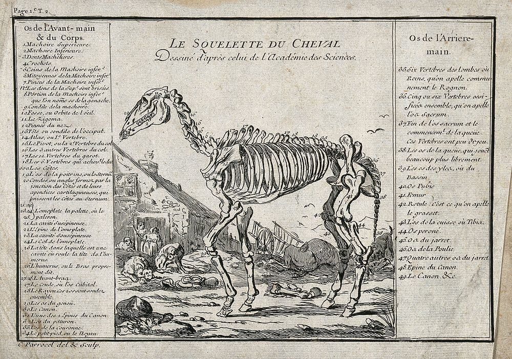 The skeleton of a horse is standing outside a thatched cottage. Etching by C. Parrocel.