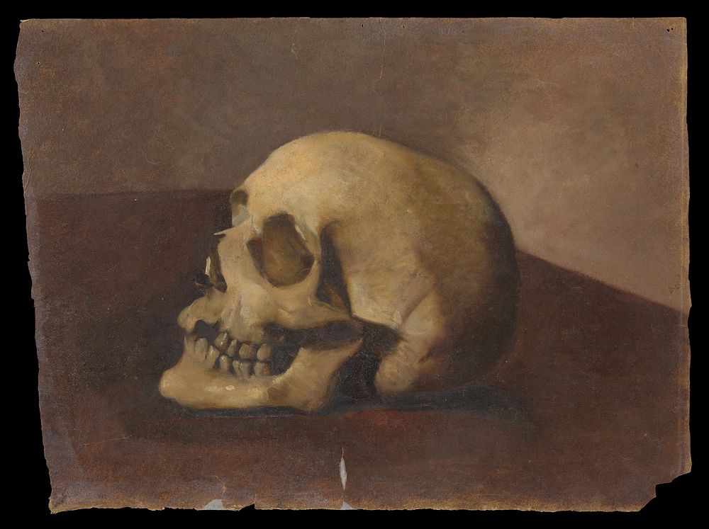 A skull. Oil painting.