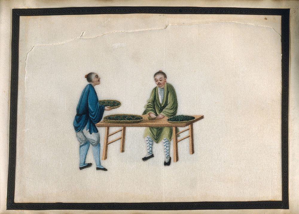 A man brings tea samples to an overseer  seated at a table. Gouache by a Chinese artist, ca. 1850.