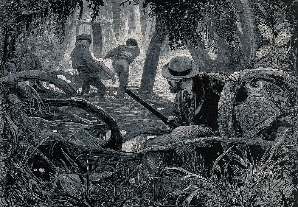 A man in the jungle, holding a gun; two men carry the body of a woman towards a hut in the background. Wood engraving by H.…