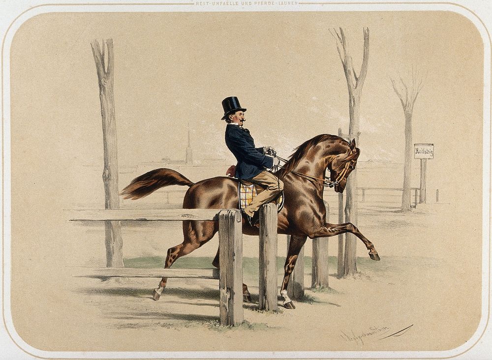 An elegantly dressed horseman gets caught in a narrow wooden park entrance. Coloured lithograph by A. Strassgschwandtner…