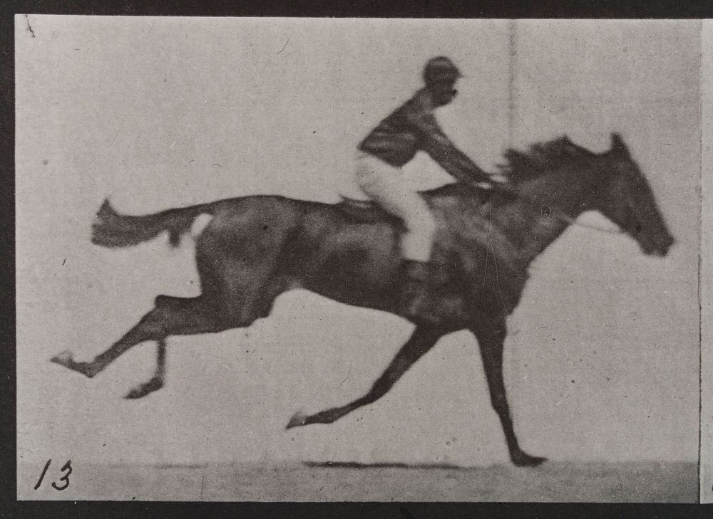 A galloping horse and rider. Collotype after Eadweard Muybridge, 1887.