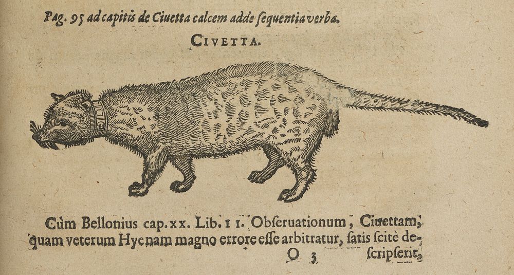 Caroli Clvsii Atrebatis Cvrae posteriores, sev plurimarum non antè cognitarum, aut descriptarum stirpium, peregrinorumqúe…