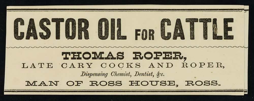Castor oil for cattle / Thomas Roper.