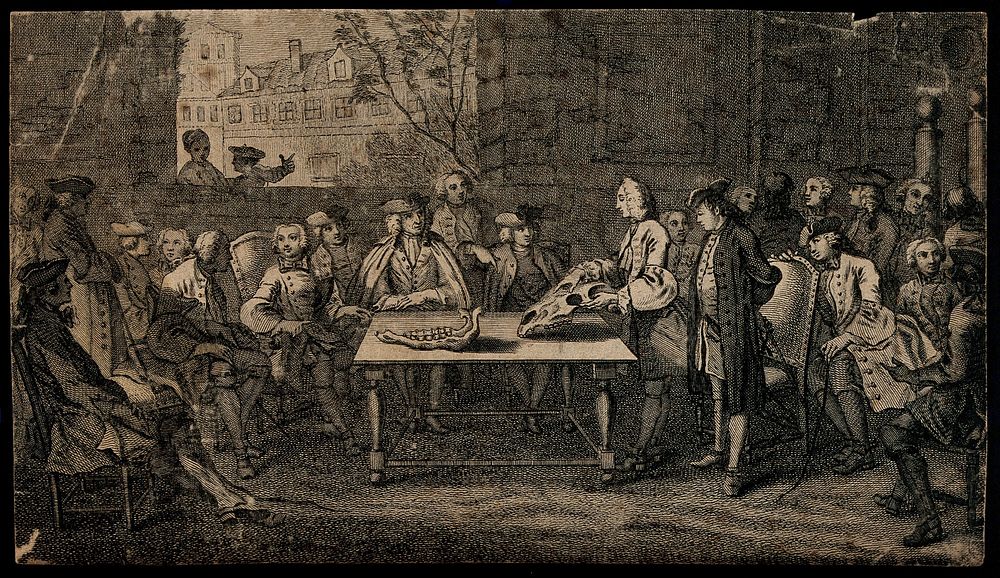 Men of fashion attending a lecture on the anatomy of the horse. Engraving by B. Audran after Ch. Parrocel, 1733.
