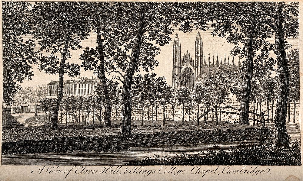 Clare Hall and King's College Chapel, Cambridge: view through the trees on the Backs. Line engraving.