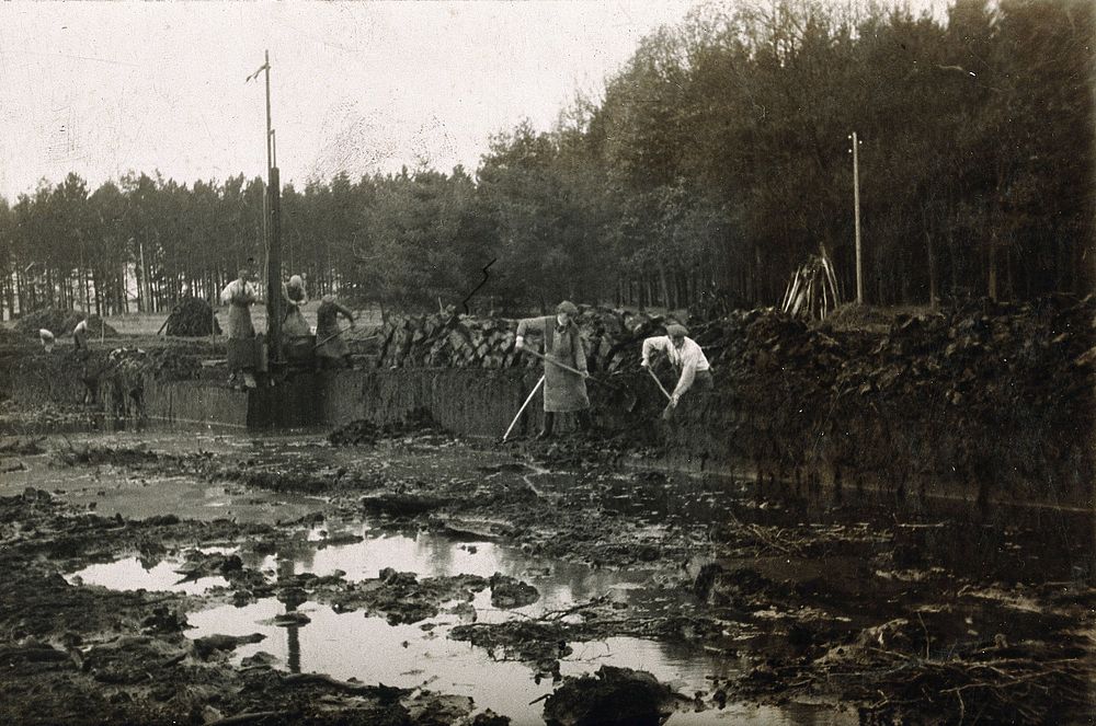 Franzensbad (Františkovy Lázně), Czechoslovakia: men cutting peat. Photograph.