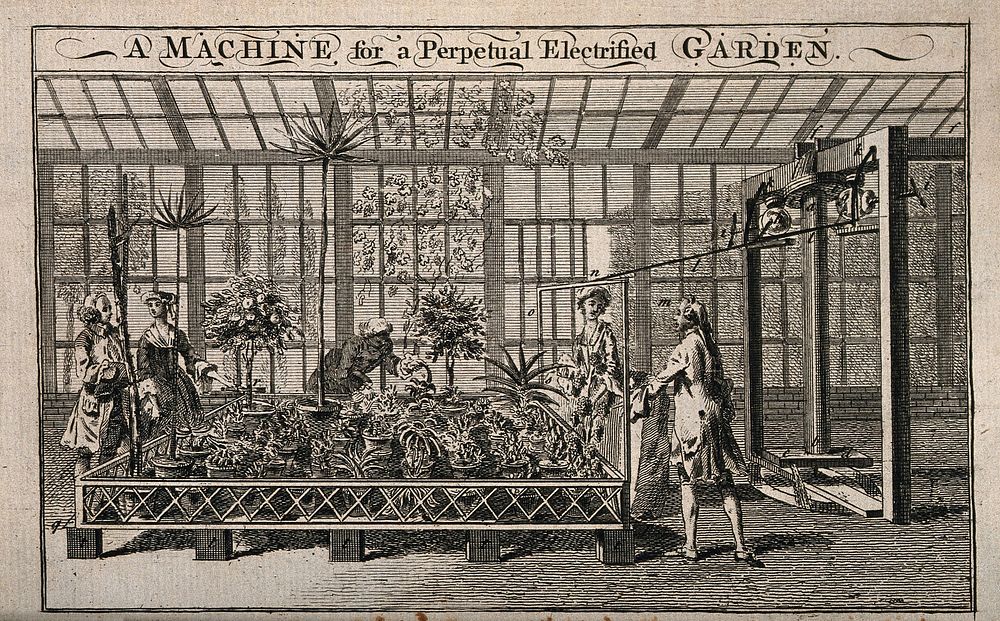 A machine for an electrified garden: fashionably-dressed men and women are shown in a glasshouse, observing a selection of…