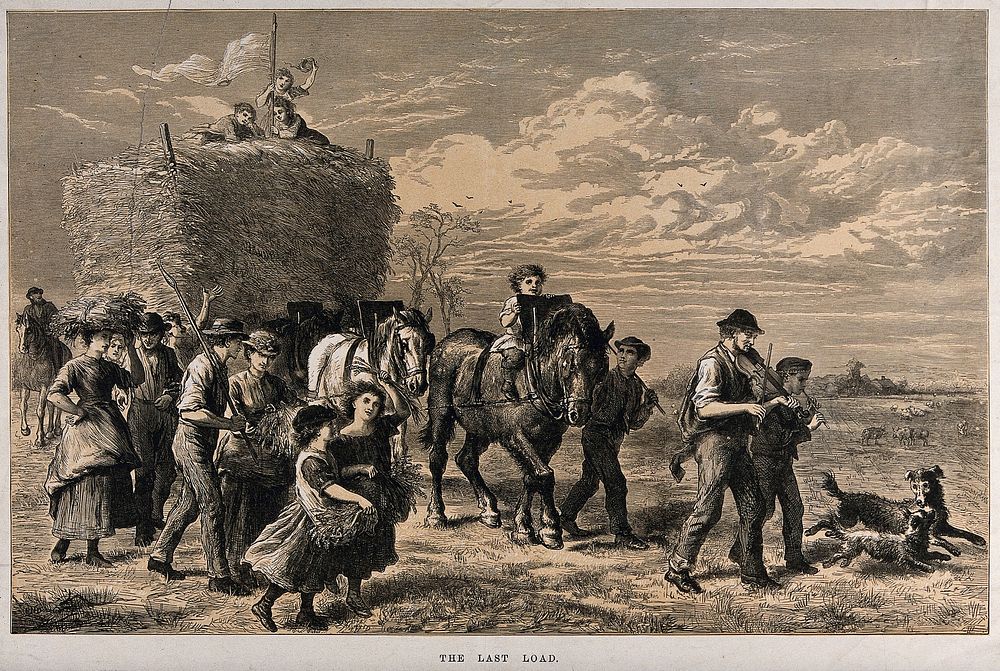 A large group of people are bringing in a load of hay on a cart, one man in front is playing a fiddle, and children are…