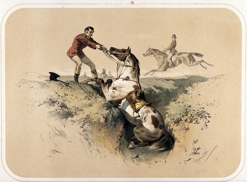 An unseated horseman pulls at the reins of his horse, which has fallen in a ditch. Coloured lithograph by A.…