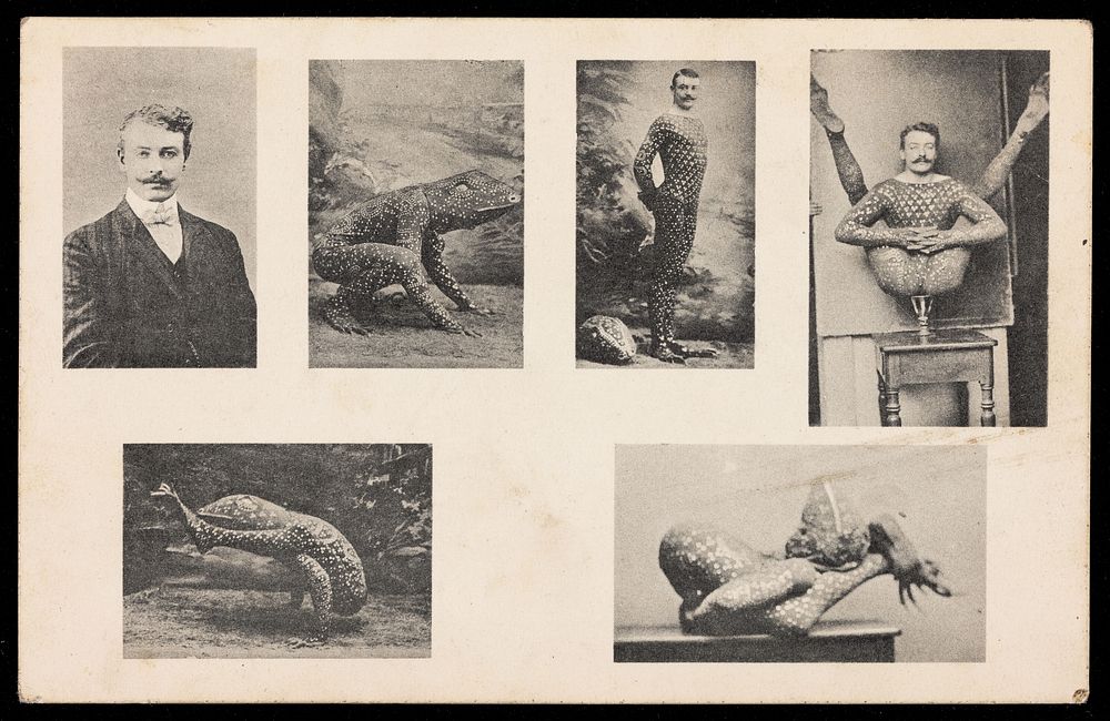 A contortionist wearing a frog costume, in several poses. Process print, 190-.