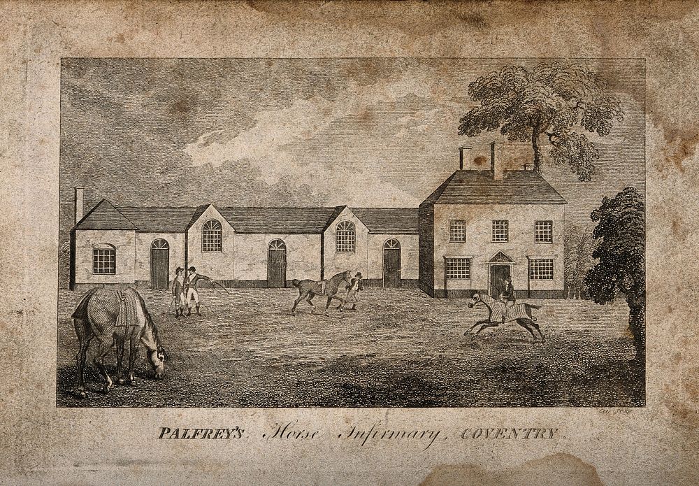 Palfrey's horse infirmary, Coventry. Line engraving by Cook.