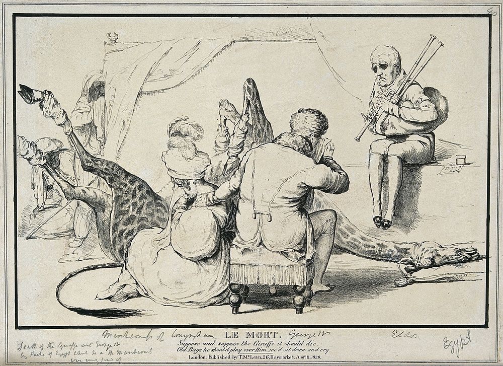 King George IV and the Marchioness of Conyngham grieve over the body of a dead giraffe, which had been sent to them by…