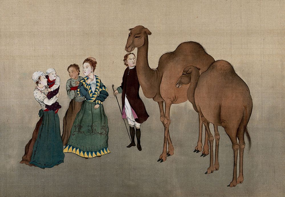 A European family in nineteenth century dress, inspecting two camels. Gouache painting.