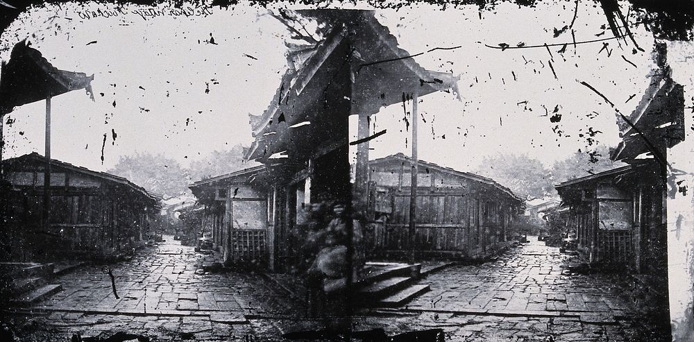 Foochow, Fukien province, China. Photograph, 1981, from a negative by John Thomson, 1870/1871.