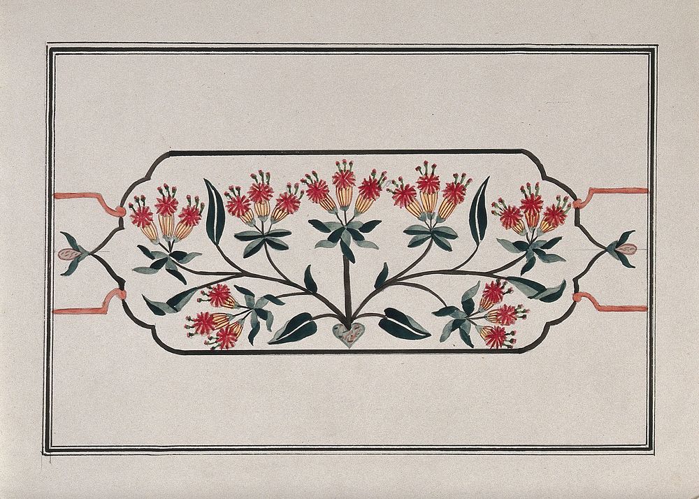 A floral pattern in a cartouche for pietra dura work (marble inlaid with semi-precious stones). Gouache painting by an…