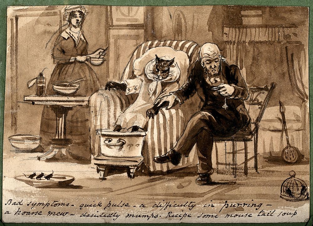A doctor diagnosing a cat with mumps and prescribing a remedy. Wash drawing, 18--.