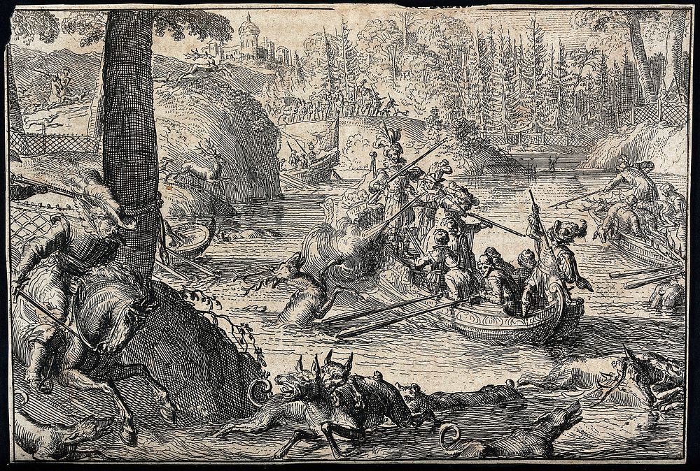 Stags are chased out of the forest into the river and shot and speared by huntsmen in boats. Etching.