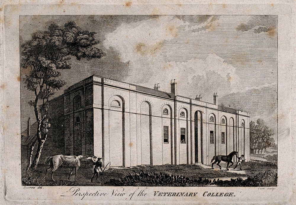 The Veterinary College, Royal College Street, London: the facade. Engraving by Cook, c.1800, after J. C. Barrow.