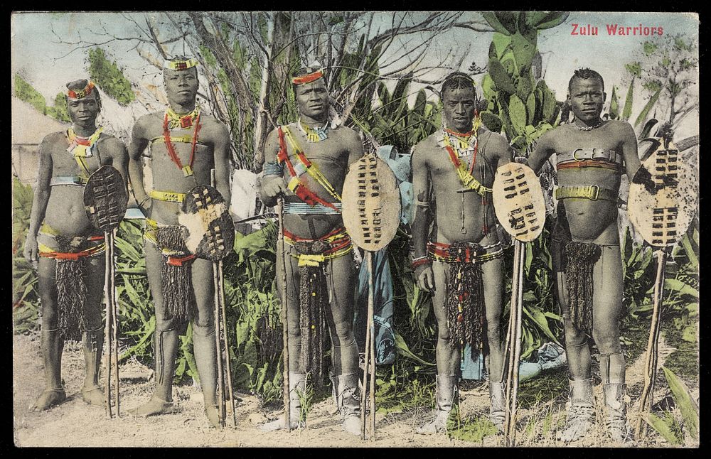 Five Zulu men standing in a line holding shields. Colour process print, ca. 1909.