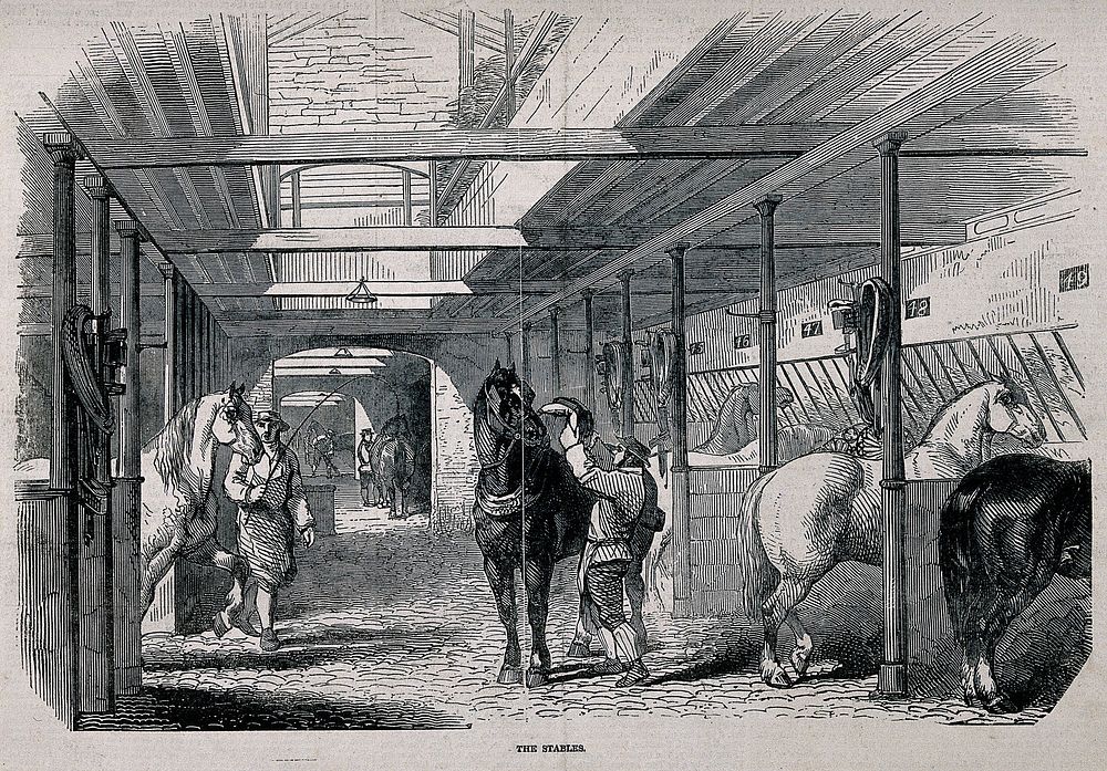 Barclay and Perkins brewery, Southwark: horses and workers in the stables. Wood-engraving, 1847.