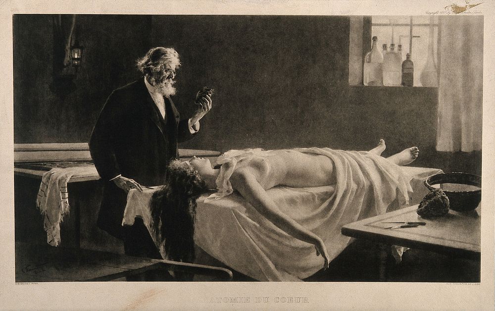 An elderly anatomist contemplates the heart that he has excised from the corpse of a beautiful, young woman. Photogravure by…