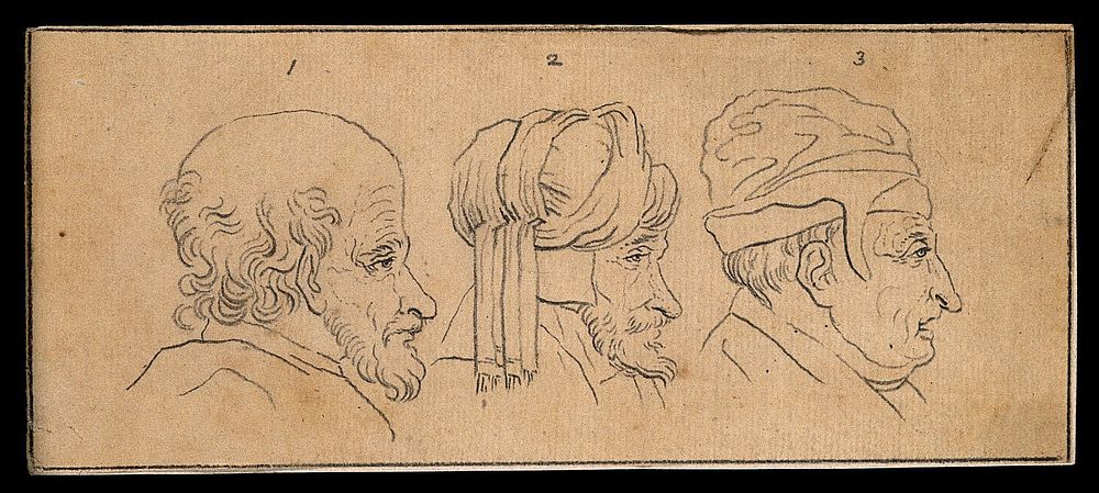 Profiles of three men deemed untrustworthy by Lavater in his account of physiognomy. Drawing, c. 1789.