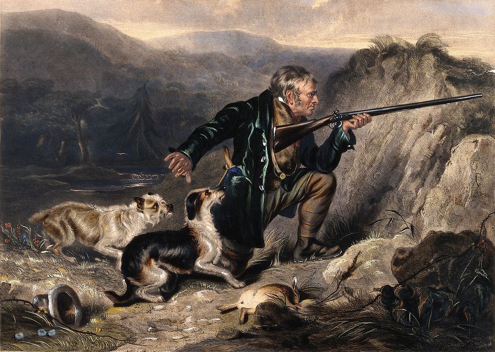 A gamekeeper trying to hush his dogs while he is kneeling and pointing his gun at a target in the distance. Reproduction of…