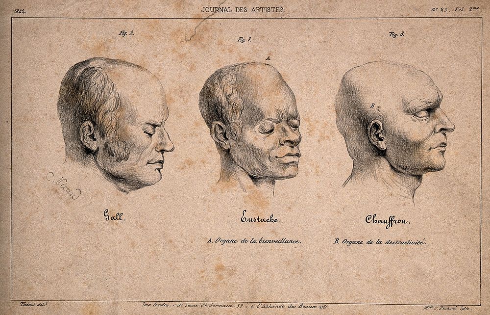 Three portraits shown for their phrenological exemplarity: Gall, Eustache and Chauffron. Lithograph by C. Picard, 1842…